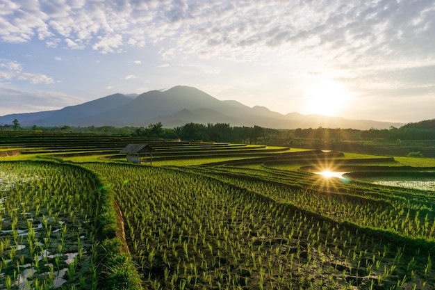 Vue panoramique sur les reflets des montagnes du matin et les belles rizières en terrasses de bali indonésie