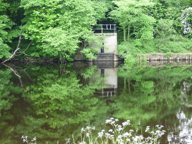 Photo vue panoramique de la rivière avec des arbres en arrière-plan