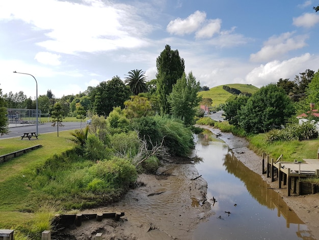 Vue panoramique de la rivière au milieu des arbres contre le ciel