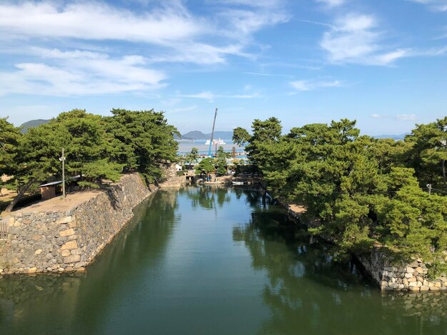 Photo vue panoramique de la rivière au milieu des arbres contre le ciel