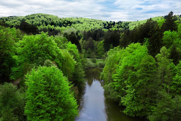 Photo vue panoramique de la rivière au milieu des arbres contre le ciel