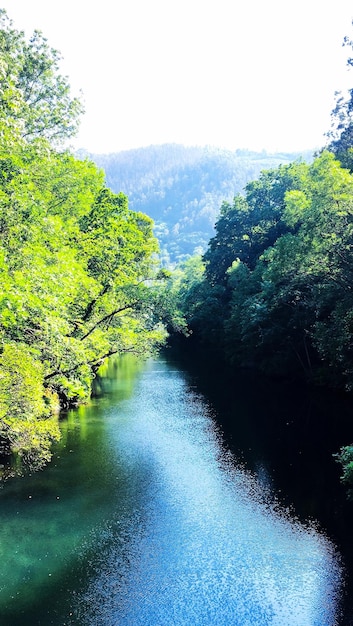 Photo vue panoramique de la rivière au milieu des arbres contre le ciel