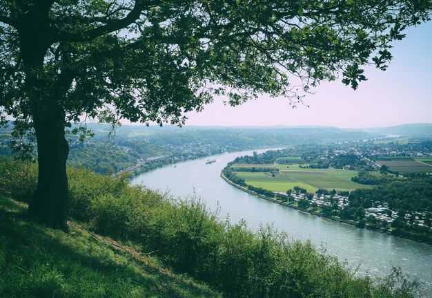 Photo vue panoramique de la rivière au milieu des arbres