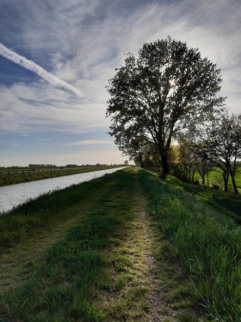 Vue panoramique de la rivière contre le ciel