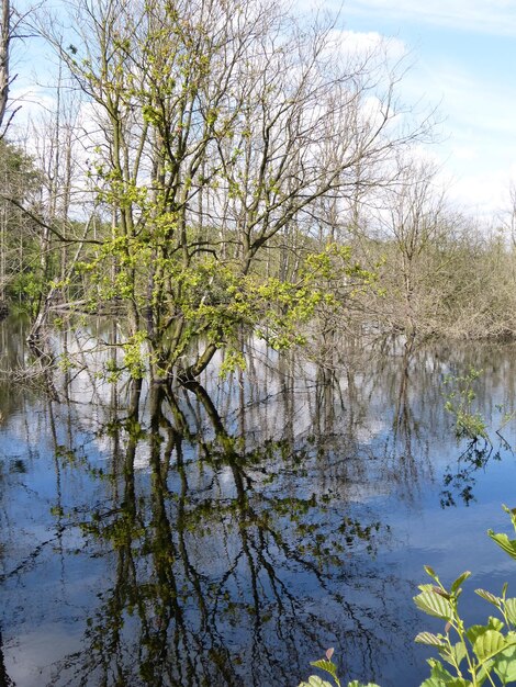 Vue panoramique de la rivière contre le ciel