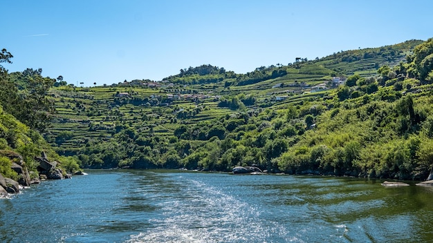 Photo vue panoramique de la rivière duoro au milieu des vignobles contre un ciel clair