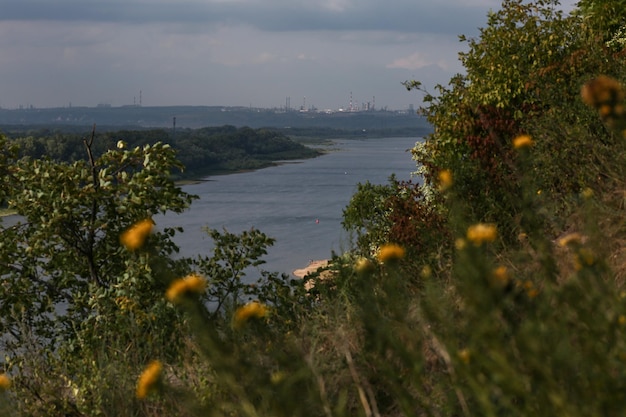 Vue panoramique sur la rivière à Oufa Russie avec des pissenlits au premier plan