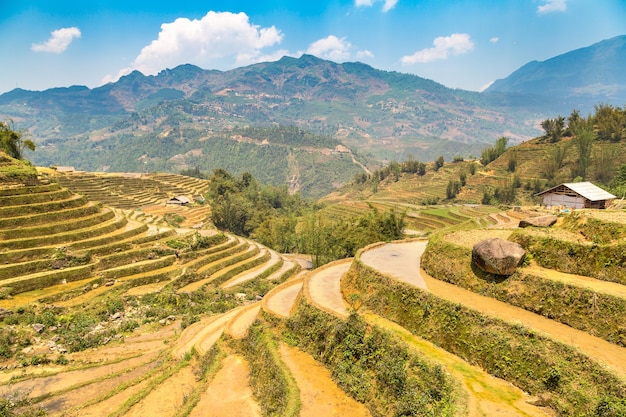 Vue panoramique de la rizière en terrasse à Sapa, Lao Cai, Vietnam