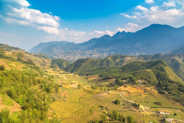 Vue panoramique de la rizière en terrasses à Sapa, Lao Cai, Vietnam