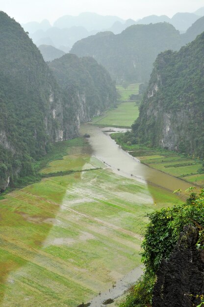 Vue panoramique des rizières et des rochers calcaires et du point de vue du temple Hang Mua