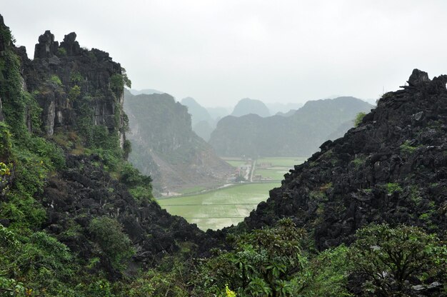 Vue panoramique des rizières et des rochers calcaires et du point de vue du temple Hang Mua