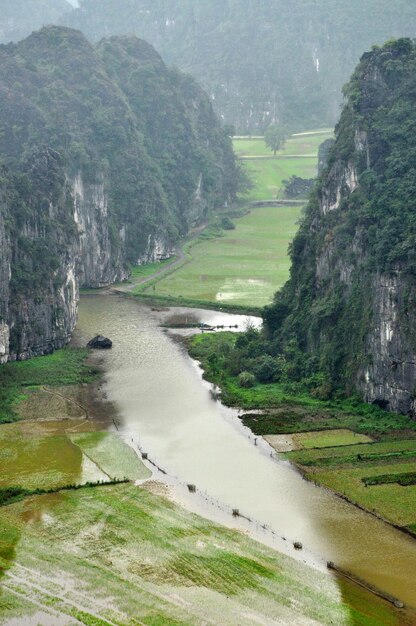 Vue panoramique des rizières et des rochers calcaires et du point de vue du temple Hang Mua