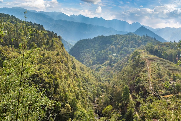 Vue panoramique de rizières en terrasses à Sapa, Lao Cai, Vietnam