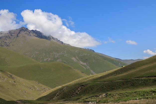 Vue panoramique des scènes de montagnes dans le parc national Dombay, Caucase, Russie, Europe. Ciel bleu dramatique et paysage d'été ensoleillé
