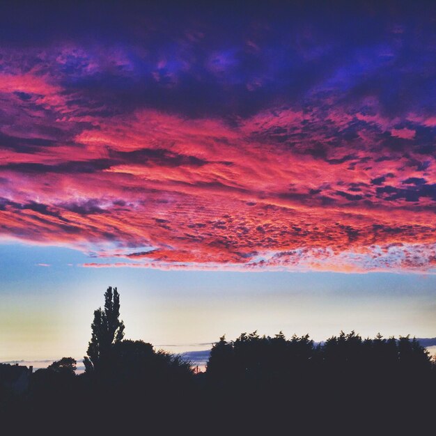 Photo vue panoramique des silhouettes d'arbres contre un ciel spectaculaire