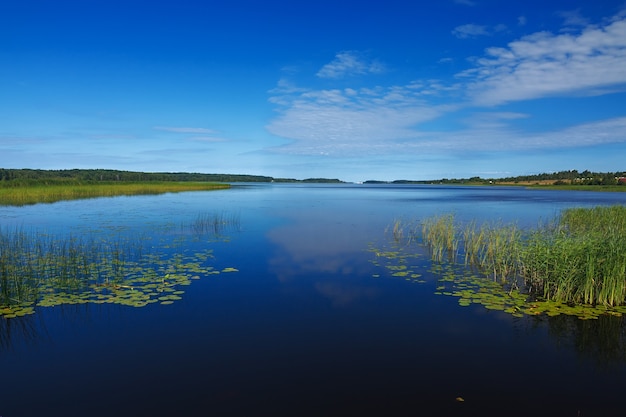 Vue panoramique sur la surface lisse du lac avec végétation