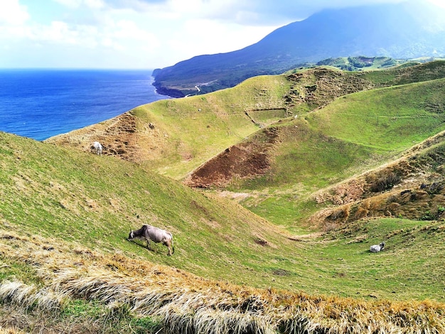 Vue panoramique de la terre contre le ciel.