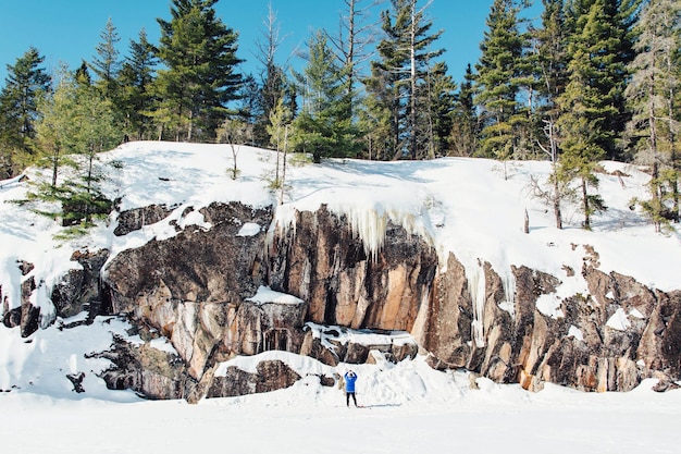 Vue panoramique de la terre couverte de neige contre les arbres