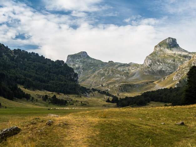 Photo vue panoramique de la vallée d'ossau