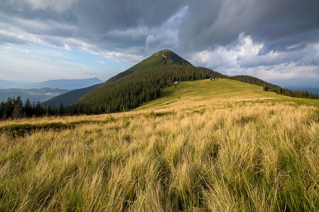 Vue panoramique sur la vallée verdoyante et herbeuse, les pins et les petites huttes paysannes rurales au pied d'une montagne ligneuse lointaine sous un ciel nuageux bleu foncé avant l'orage. Beauté de la nature, tourisme, voyages.