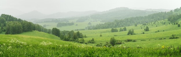 Vue panoramique sur les vertes prairies et les collines un jour d'été nuageux