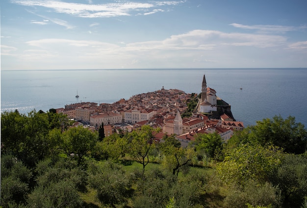 Vue panoramique de la vieille ville de Piran depuis les remparts médiévaux, sur une journée ensoleillée et bleue