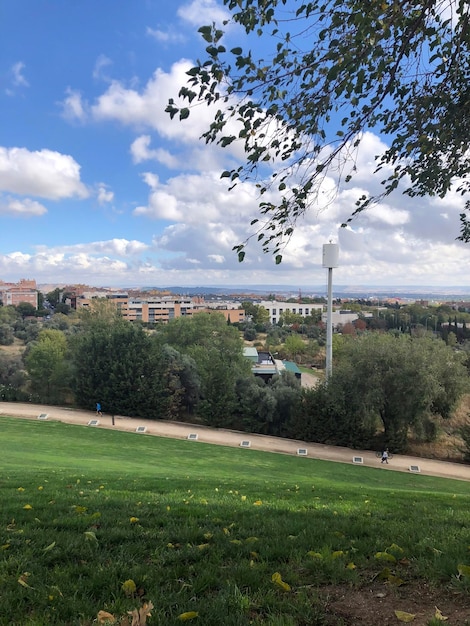 Photo une vue d'un parc avec un ciel bleu et des nuages