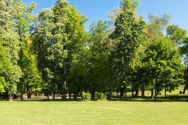 Vue sur le parc dans la ville de monza