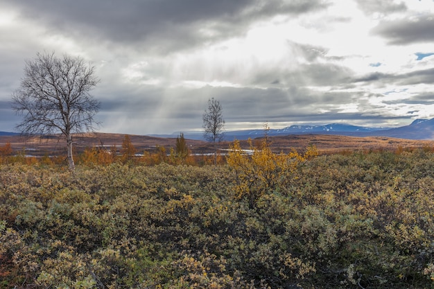 Vue sur le parc national de Sarek en automne, Suède