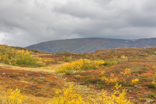 Photo vue sur le parc national de sarek en automne