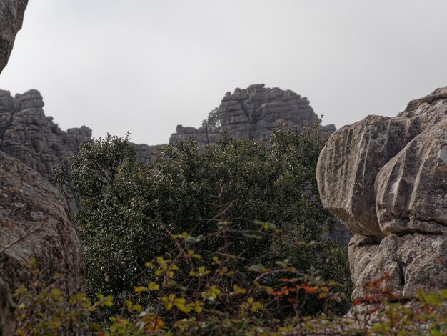 Vue sur le parc naturel El Torcal de Antequera