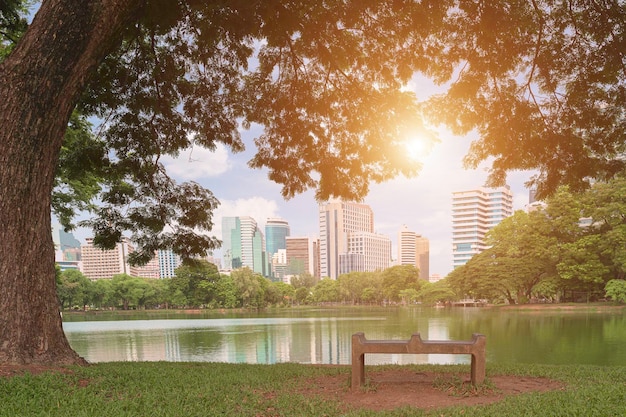 Une vue sur le parc de la ville au milieu de la ville l'atmosphère matinale du parc