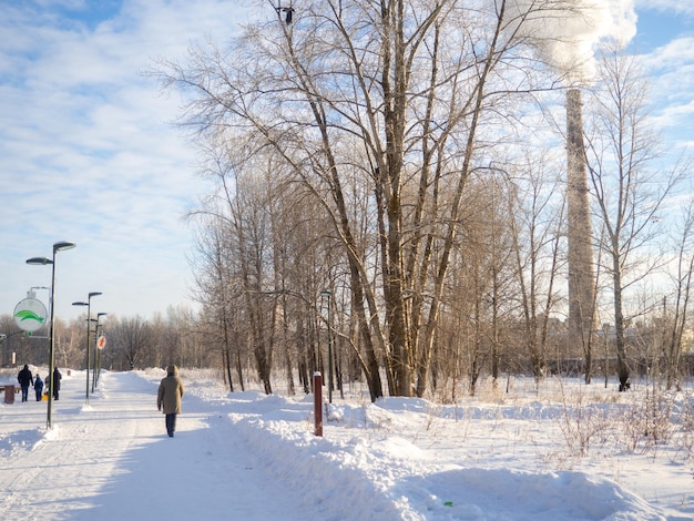 Vue sur le parc de la ville d'hiver Paysage de la ville