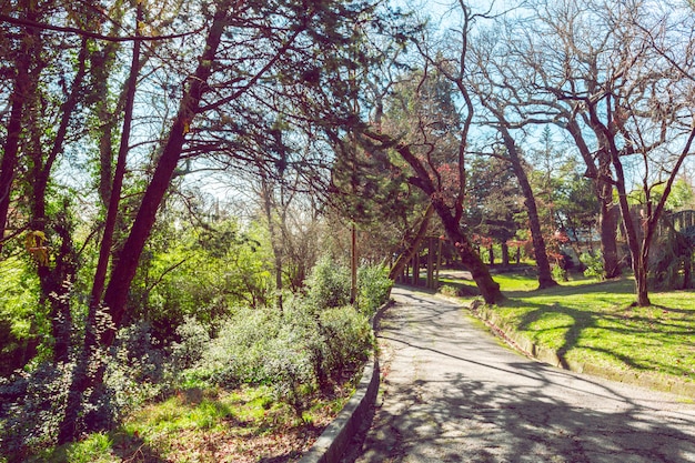 Vue sur le parc