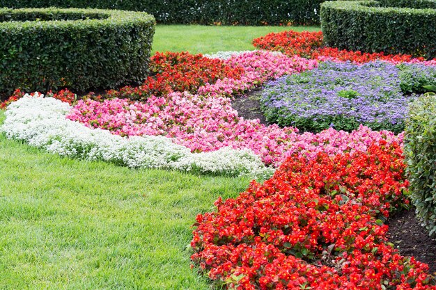 Vue sur des parterres de fleurs multicolores et des buissons taillés de différentes formes.