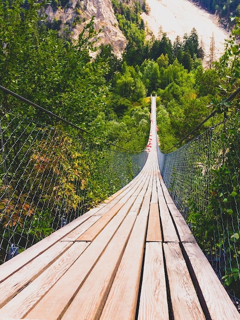 Vue d'une passerelle dans la forêt