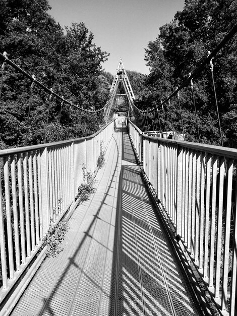 Photo vue de la passerelle dans la forêt