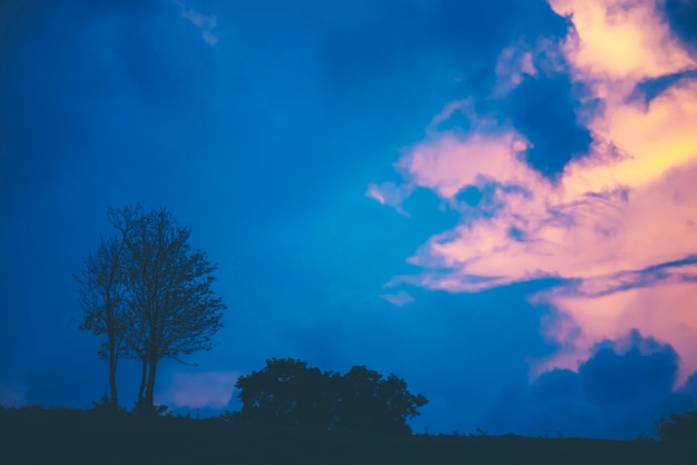 vue de paysage avec arbre au crépuscule