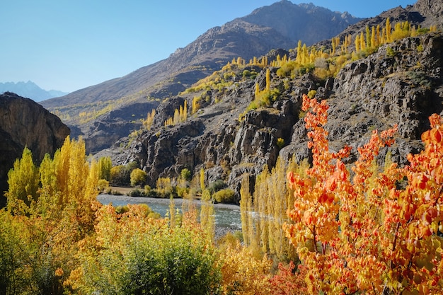 Photo vue de paysage d'arbres colorés en automne contre la chaîne de montagnes hindu kush