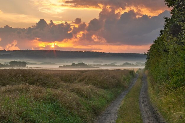 Vue paysage d'un chemin de terre dans une campagne menant à une forêt et des bois verdoyants en Allemagne Voyage vers des champs et des prairies éloignés Paysage calme avec des arbres buissons arbustes pelouse et herbe