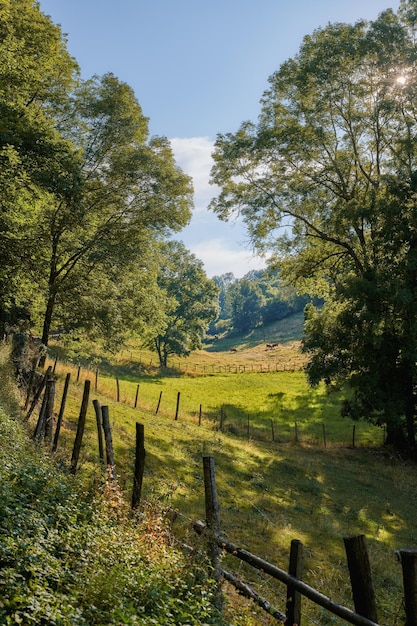 Vue de paysage d'une ferme de campagne avec de longues herbes dans des pâturages négligés avec une forêt dense de bois et d'arbres Domaine agricole serein et paisible luxuriant dans une prairie isolée et calme