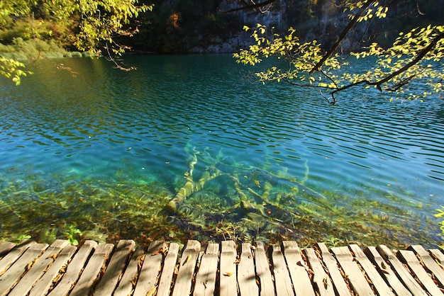 Vue paysage de feuilles et de lac en automne au parc national de plitvice Jezera en Croatie.