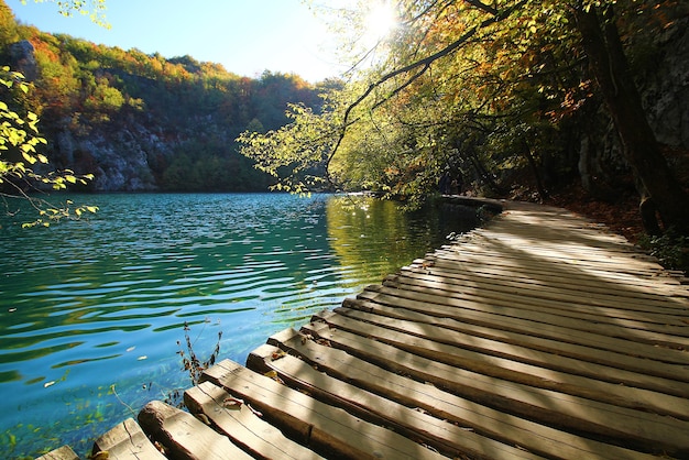 Vue paysage de feuilles et de lac en automne au parc national de plitvice Jezera en Croatie.