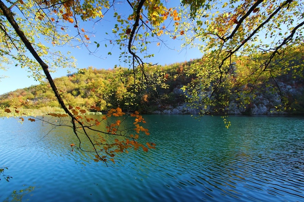 Vue paysage de feuilles et de lac en automne au parc national de plitvice Jezera en Croatie.