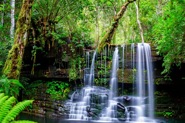 Vue sur le paysage de la forêt tropicale avec une triple cascade tombant sur des rochers