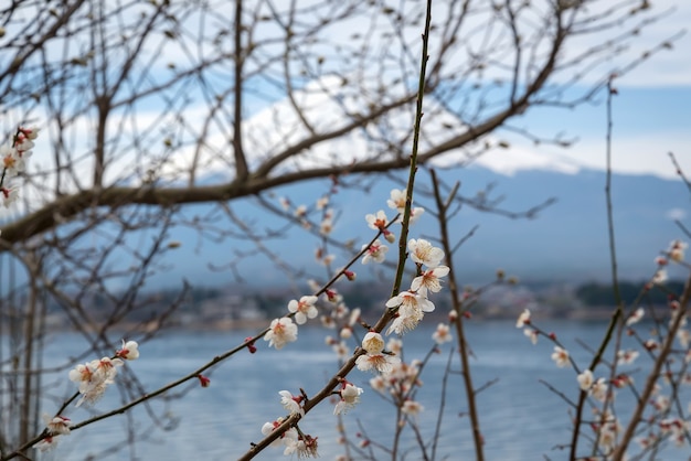 Vue sur le paysage de Fuji avec un lac kawaguchiko