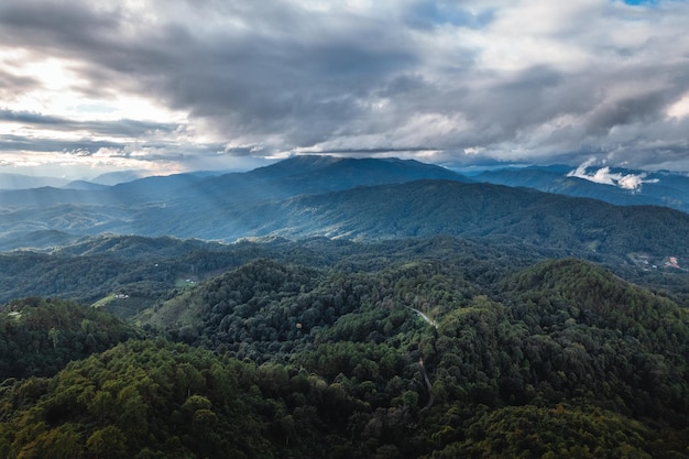 Vue de paysage sur la haute colline verte