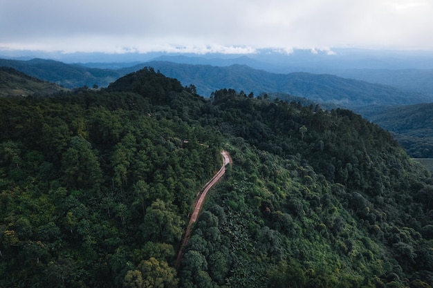 Vue de paysage sur la haute colline verte