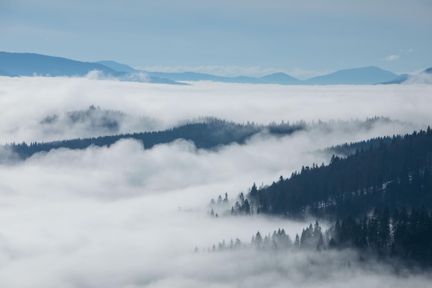 Vue paysage d'hiver ukraine carpates bukovel