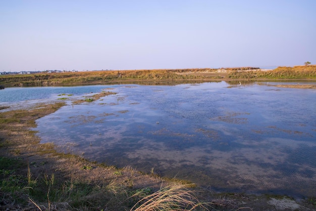 Vue de paysage de lac d'eau bleue cristalline à proximité de la rivière Padma au Bangladesh